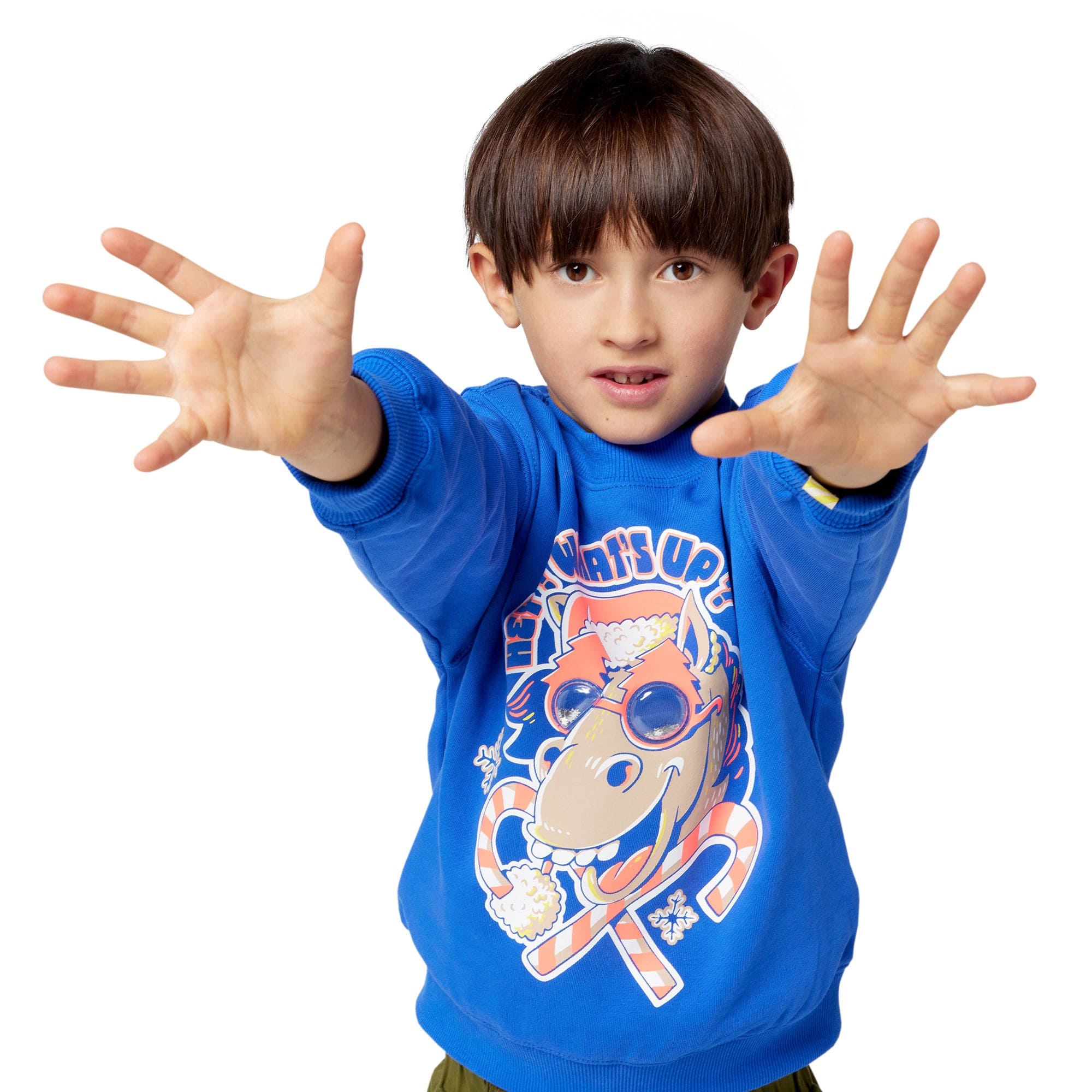 BILLIEBLUSH BOYS - Hey Whats Up Sweatshirt - Blue