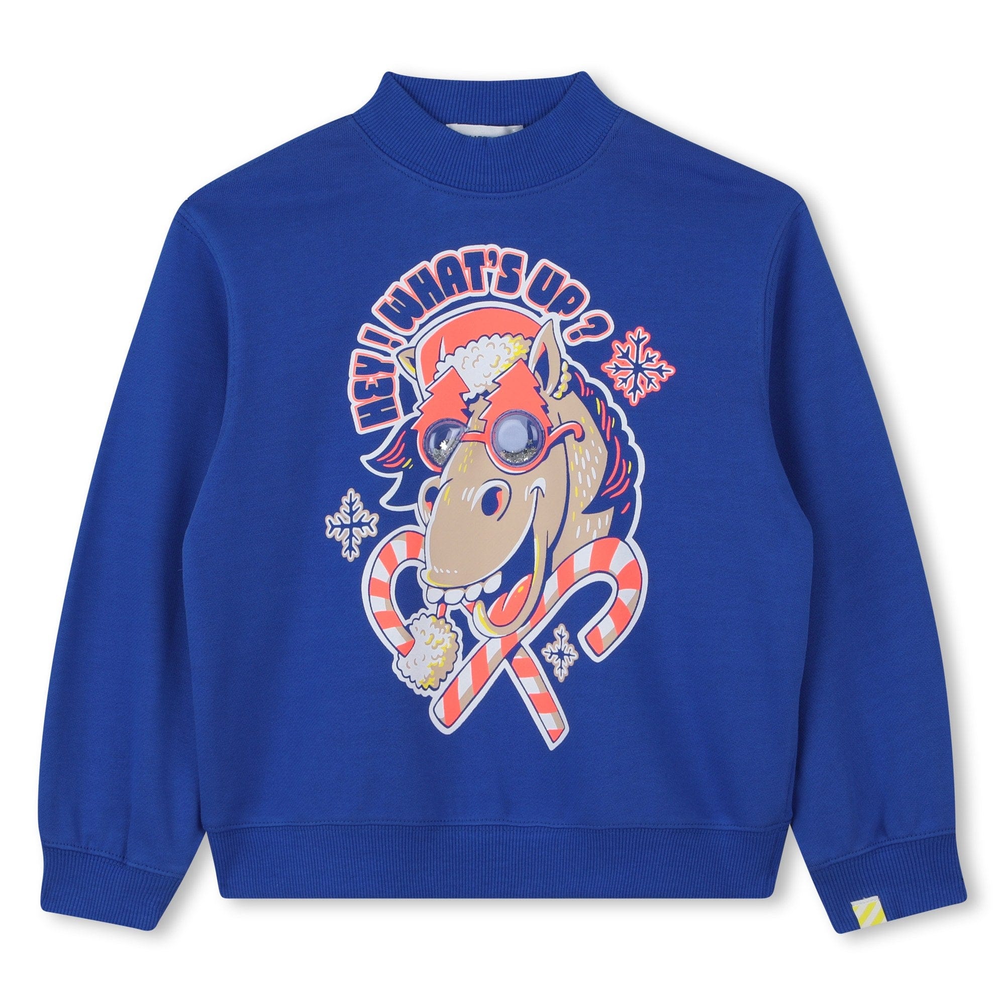 BILLIEBLUSH BOYS - Hey Whats Up Sweatshirt - Blue
