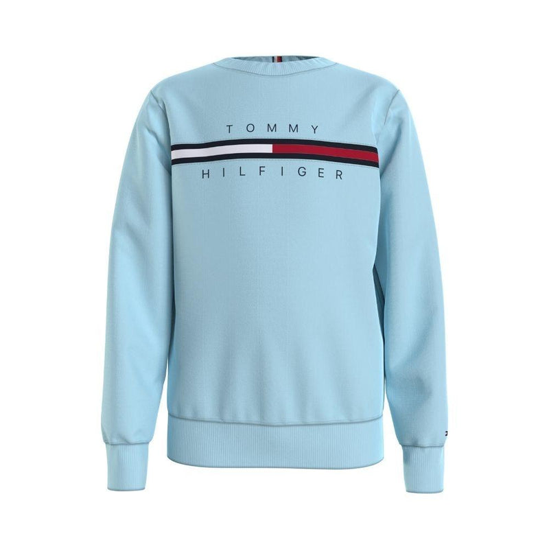 Tommy hilfiger clearance flag sweatshirt